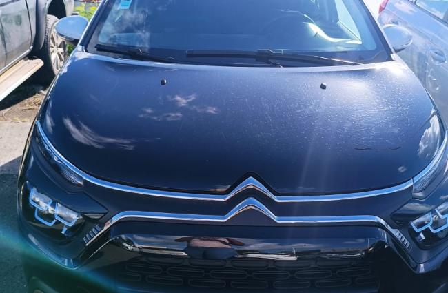 ARC EN CIEL WORLD EVASION