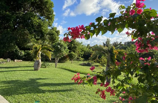 ROCHES ET JARDIN