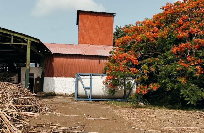 DISTILLERIE PÈRE LABAT