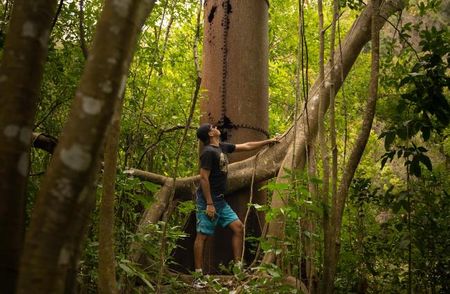 LA BILLETTERIE SAINTOISE
