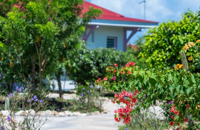 LES ESSENCES DE MENARD