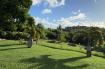 ROCHES ET JARDIN